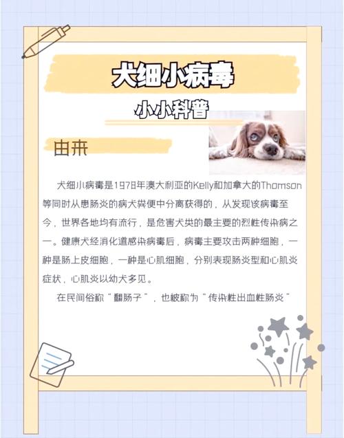 狗狗得细小会传染人吗-狗狗得了细小会传染给小孩吗-第4张图片 狗狗得细小会传染人吗-狗狗得了细小会传染给小孩吗-第4张图片