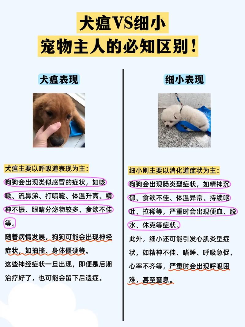 狗狗得细小会传染人吗-狗狗得了细小会传染给小孩吗-第5张图片 狗狗得细小会传染人吗-狗狗得了细小会传染给小孩吗-第5张图片