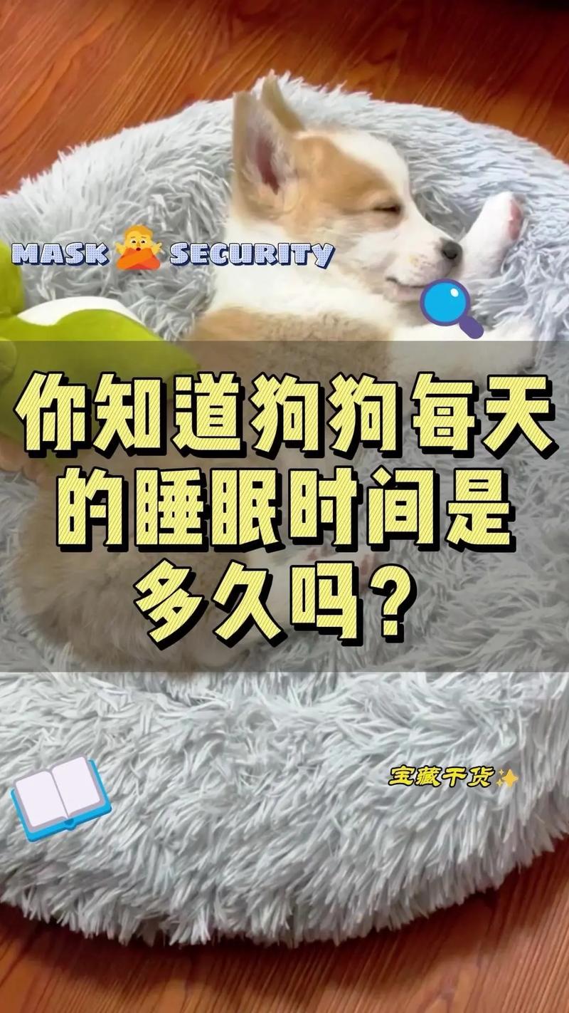 猫的睡眠时间/大熊猫的睡眠时间-第3张图片 猫的睡眠时间/大熊猫的睡眠时间-第3张图片