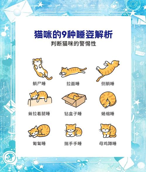 猫的睡眠时间/大熊猫的睡眠时间-第4张图片 猫的睡眠时间/大熊猫的睡眠时间-第4张图片