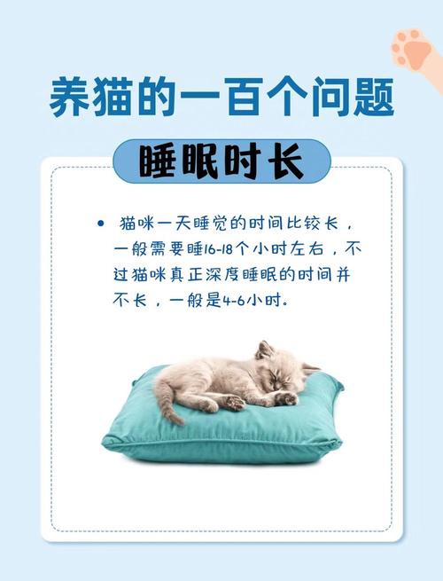 猫的睡眠时间/大熊猫的睡眠时间-第5张图片 猫的睡眠时间/大熊猫的睡眠时间-第5张图片