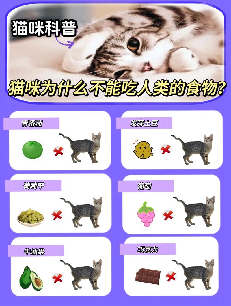 解析“猫可以吃蛋白吗”你不知道的事-第8张图片 解析“猫可以吃蛋白吗”你不知道的事-第8张图片