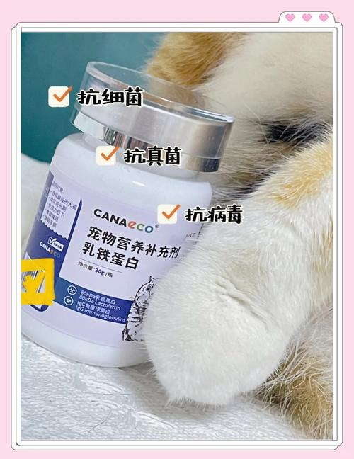 解析“猫可以吃蛋白吗”你不知道的事-第10张图片 解析“猫可以吃蛋白吗”你不知道的事-第10张图片