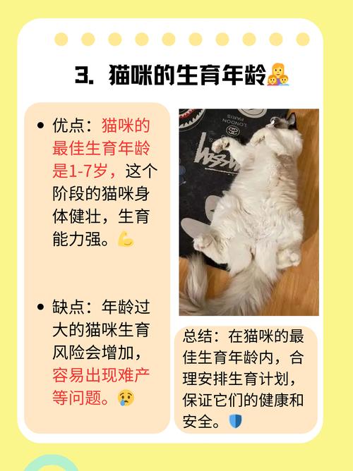 解析“猫咪怀胎几个月”你不知道的事-第3张图片 解析“猫咪怀胎几个月”你不知道的事-第3张图片
