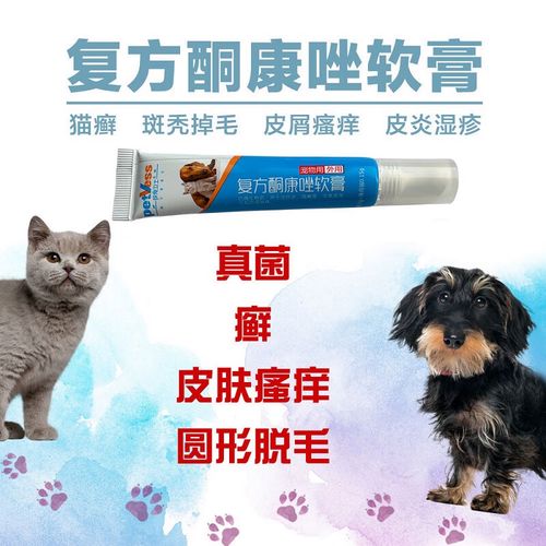 狗狗斑秃掉毛怎么治疗/小狗斑秃治疗方法-第4张图片 狗狗斑秃掉毛怎么治疗/小狗斑秃治疗方法-第4张图片