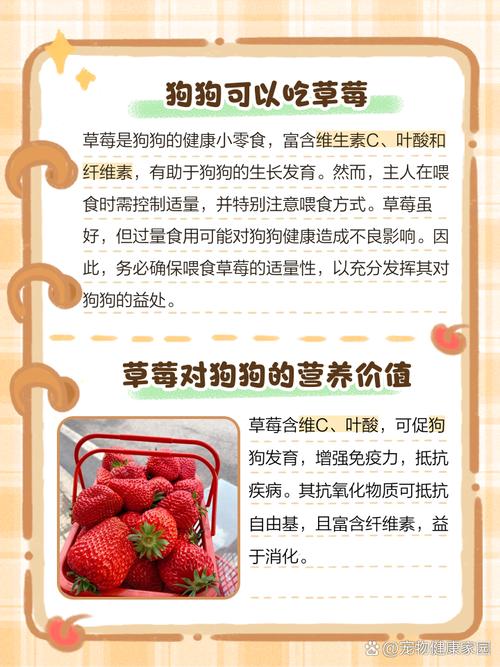 解析“狗狗吃草莓有什么好处”你不知道的事-第3张图片 解析“狗狗吃草莓有什么好处”你不知道的事-第3张图片