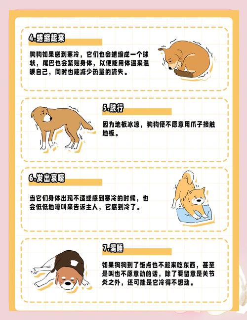 为什么狗狗一直发抖/为什么狗狗总发抖-第5张图片 为什么狗狗一直发抖/为什么狗狗总发抖-第5张图片