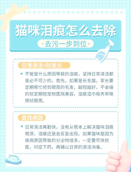 解析“猫咪泪痕重怎么办”你不知道的事-第5张图片 解析“猫咪泪痕重怎么办”你不知道的事-第5张图片