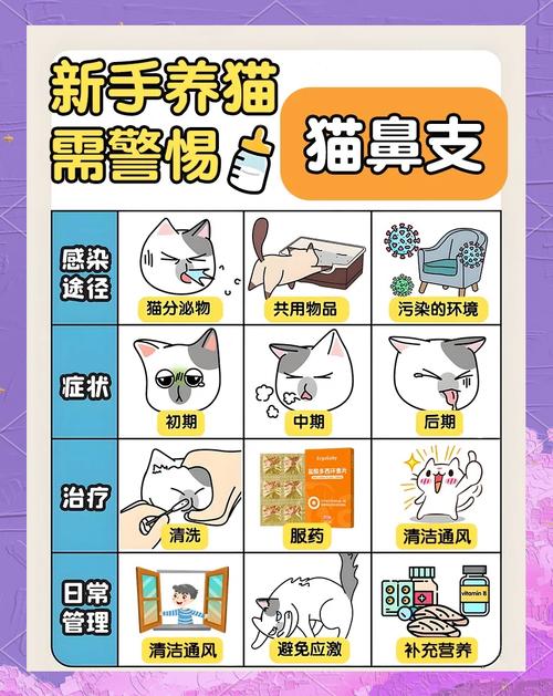 猫咪打喷嚏流鼻涕怎么办,宠物猫打喷嚏流鼻涕吃什么药-第5张图片 猫咪打喷嚏流鼻涕怎么办,宠物猫打喷嚏流鼻涕吃什么药-第5张图片