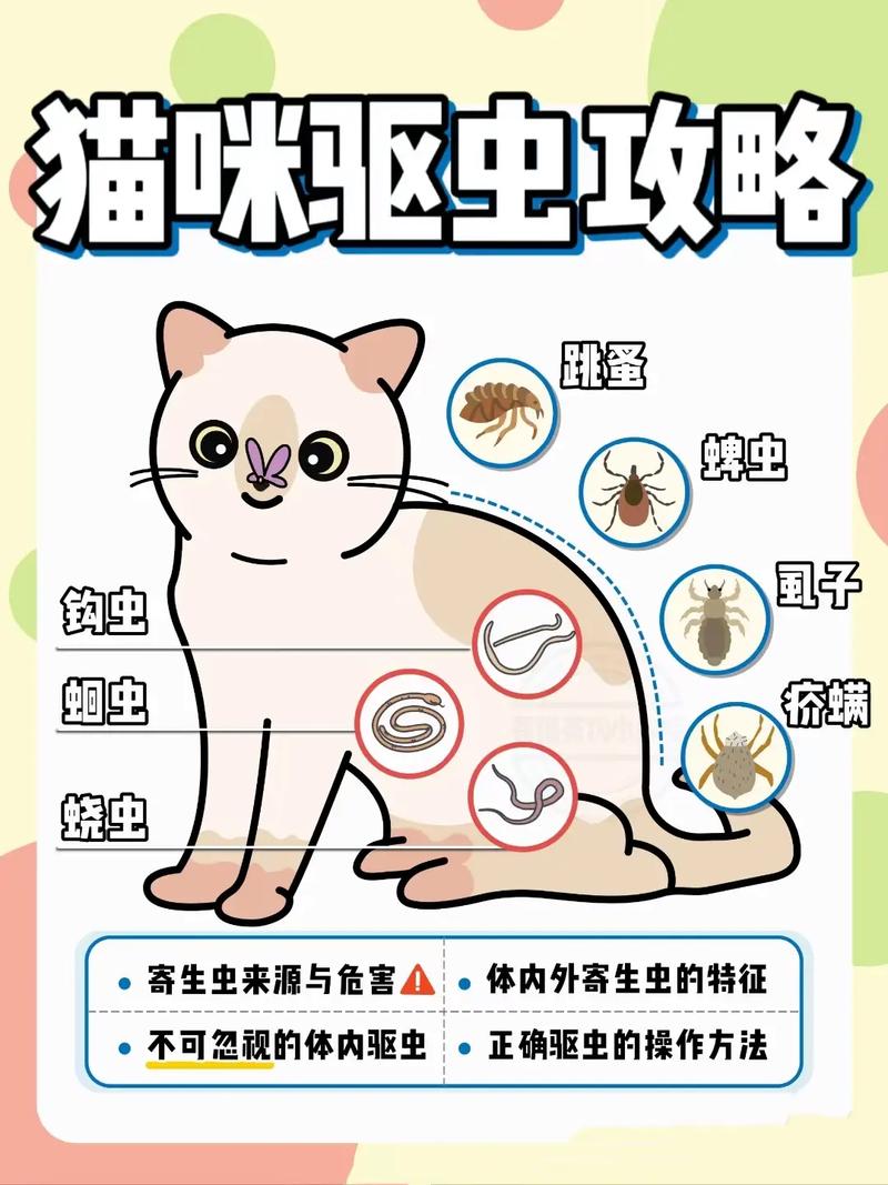 作为消费者“猫咪为什么要驱虫”你不能不知道-第1张图片 作为消费者“猫咪为什么要驱虫”你不能不知道-第1张图片