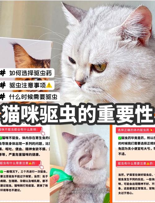 作为消费者“猫咪为什么要驱虫”你不能不知道-第3张图片 作为消费者“猫咪为什么要驱虫”你不能不知道-第3张图片