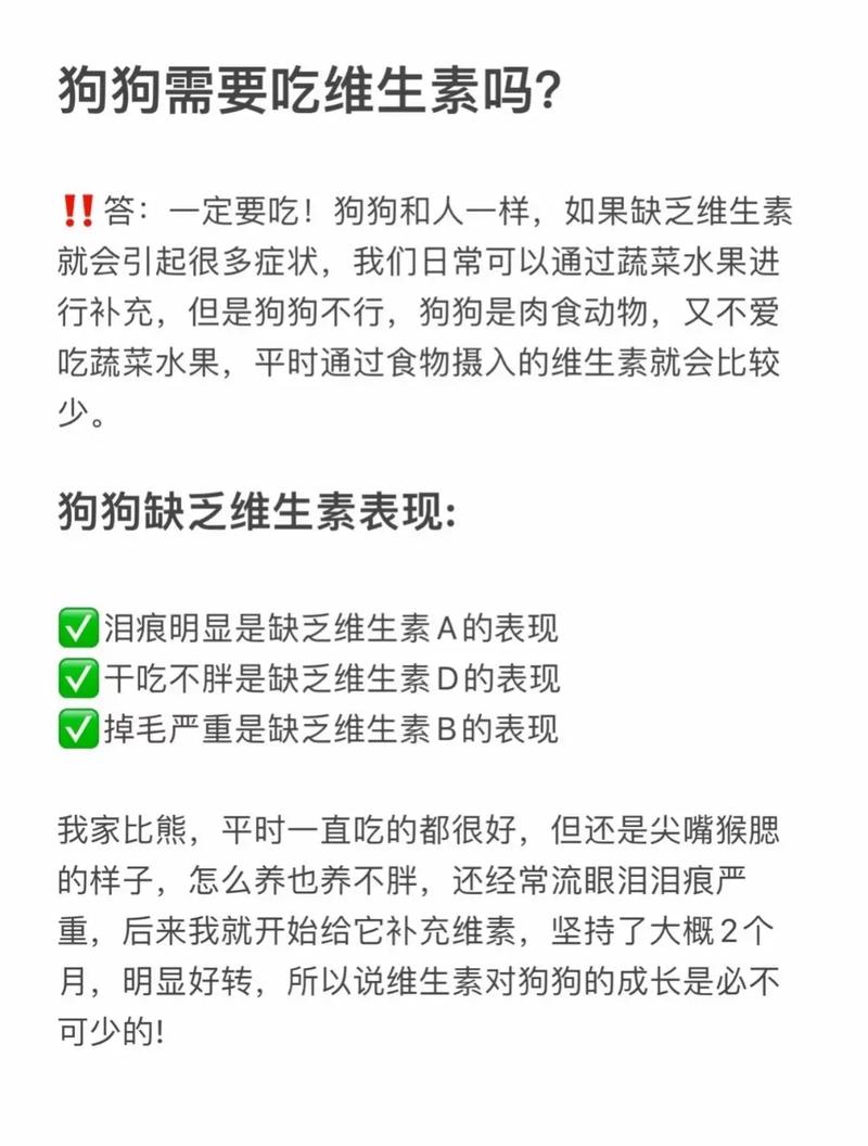 维生素b对狗狗的作用-维生素b狗狗能吃吗-第5张图片 维生素b对狗狗的作用-维生素b狗狗能吃吗-第5张图片