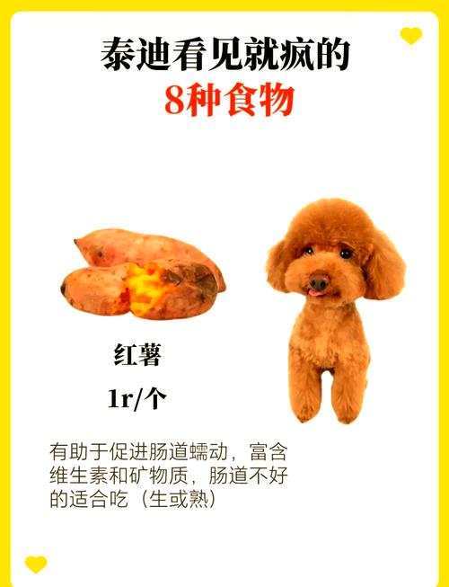 泰迪能吃菠萝蜜吗-泰迪能吃菠萝蜜吗会死吗-第5张图片 泰迪能吃菠萝蜜吗-泰迪能吃菠萝蜜吗会死吗-第5张图片