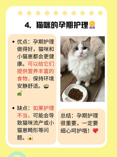 猫咪预产期怎么算,猫咪预产期公式-第4张图片 猫咪预产期怎么算,猫咪预产期公式-第4张图片