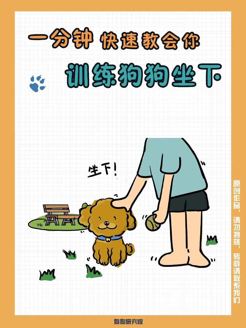 解析“怎样训练狗狗坐下”你不知道的事-第4张图片 解析“怎样训练狗狗坐下”你不知道的事-第4张图片