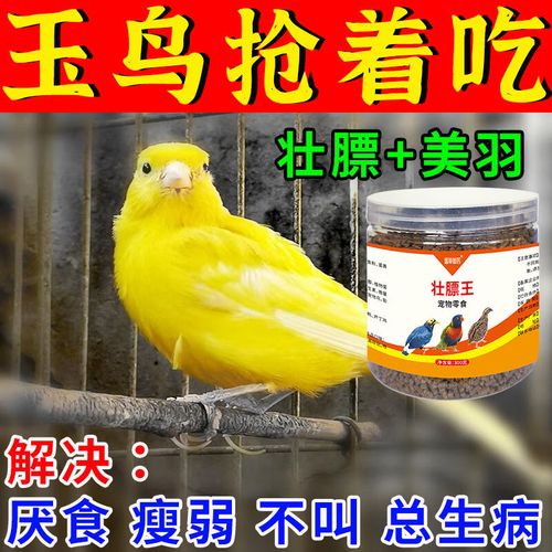 芙蓉鸟吃什么食比较好/芙蓉鸟的鸟食怎么搭配-第1张图片 芙蓉鸟吃什么食比较好/芙蓉鸟的鸟食怎么搭配-第1张图片