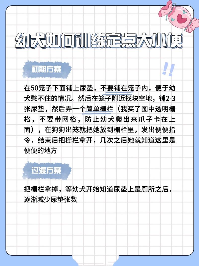 解析“边牧幼犬训练”你不知道的事-第3张图片 解析“边牧幼犬训练”你不知道的事-第3张图片