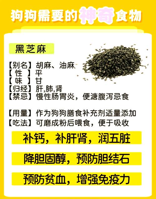 狗狗可以吃芝麻吗/狗狗可以吃芝麻吗有毒吗-第2张图片 狗狗可以吃芝麻吗/狗狗可以吃芝麻吗有毒吗-第2张图片