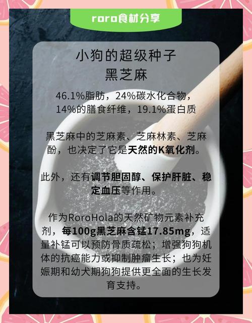 狗狗可以吃芝麻吗/狗狗可以吃芝麻吗有毒吗-第5张图片 狗狗可以吃芝麻吗/狗狗可以吃芝麻吗有毒吗-第5张图片