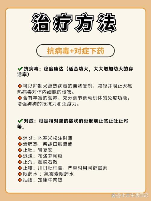 狗瘟怎么治疗方法-狗瘟怎么治疗方法图片-第1张图片 狗瘟怎么治疗方法-狗瘟怎么治疗方法图片-第1张图片