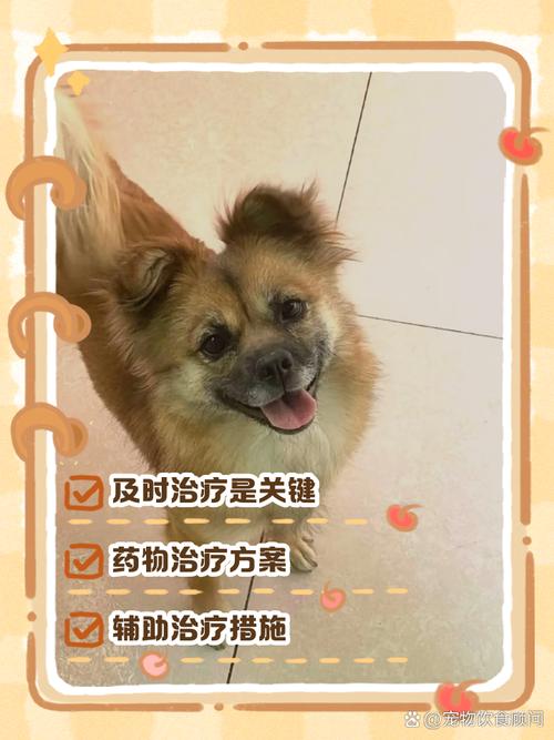 狗瘟怎么治疗方法-狗瘟怎么治疗方法图片-第5张图片 狗瘟怎么治疗方法-狗瘟怎么治疗方法图片-第5张图片