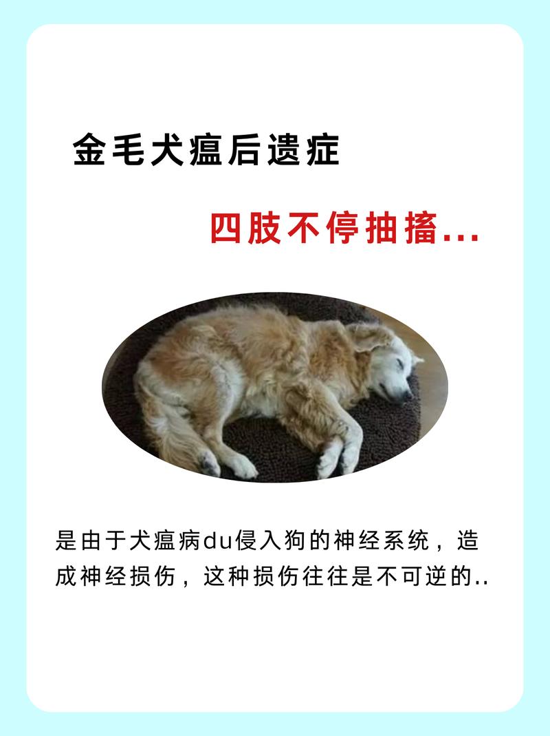 狗瘟的症状,狗瘟的症状吃什么药效果好-第1张图片 狗瘟的症状,狗瘟的症状吃什么药效果好-第1张图片