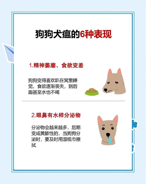 狗瘟的症状,狗瘟的症状吃什么药效果好-第3张图片 狗瘟的症状,狗瘟的症状吃什么药效果好-第3张图片