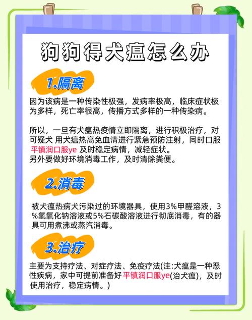 狗瘟的症状,狗瘟的症状吃什么药效果好-第4张图片 狗瘟的症状,狗瘟的症状吃什么药效果好-第4张图片