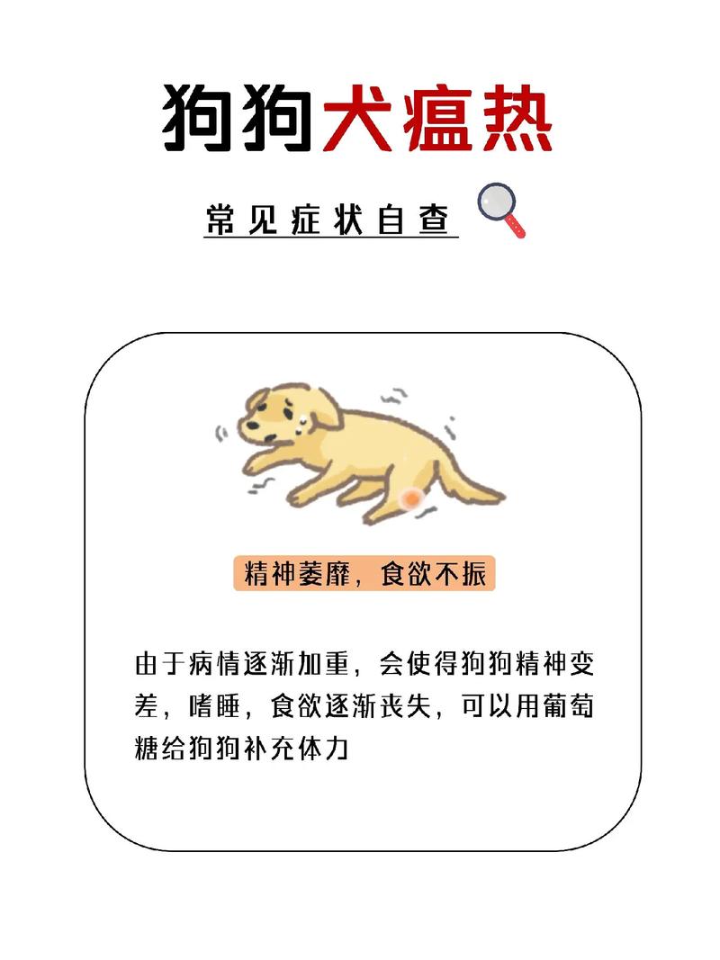 狗瘟的症状,狗瘟的症状吃什么药效果好-第5张图片 狗瘟的症状,狗瘟的症状吃什么药效果好-第5张图片