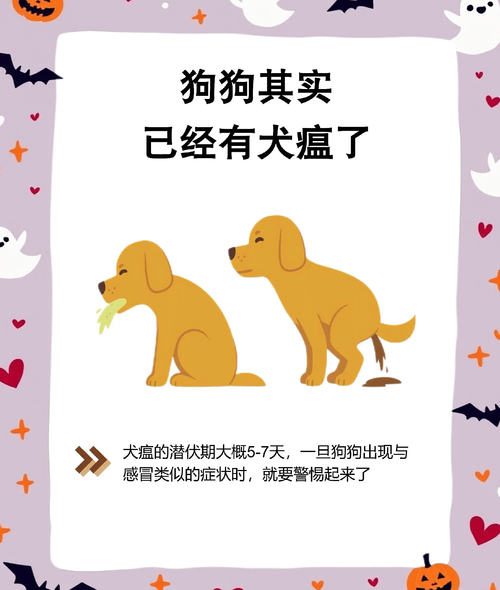 狗瘟的症状,狗瘟的症状吃什么药效果好-第9张图片 狗瘟的症状,狗瘟的症状吃什么药效果好-第9张图片