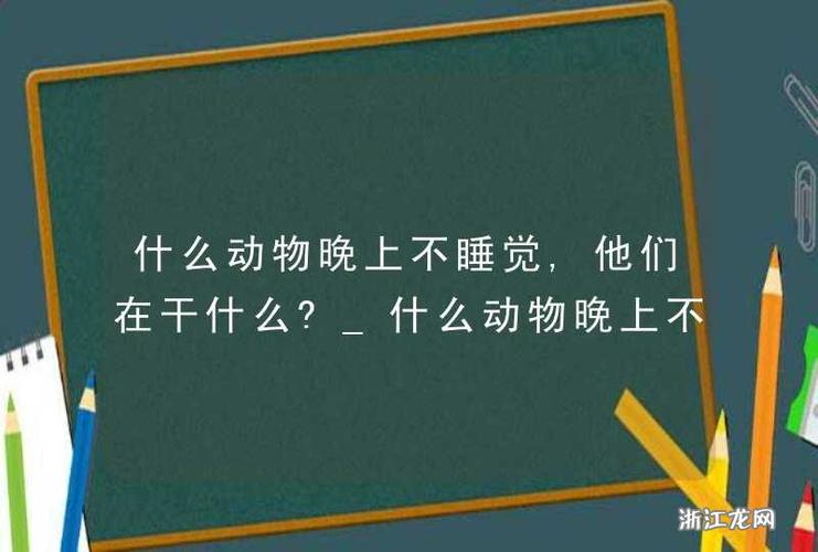 晚上不睡觉的动物-十二生肖晚上不睡觉的动物-第2张图片 晚上不睡觉的动物-十二生肖晚上不睡觉的动物-第2张图片