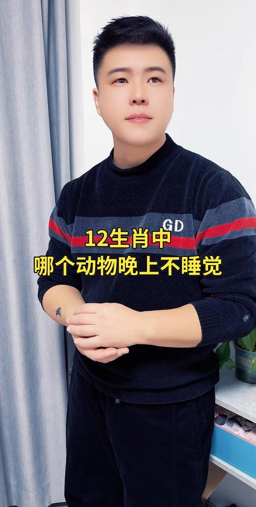 晚上不睡觉的动物-十二生肖晚上不睡觉的动物-第8张图片 晚上不睡觉的动物-十二生肖晚上不睡觉的动物-第8张图片