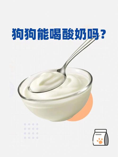 狗狗可以喝安慕希吗-小狗可以喝安慕希-第4张图片 狗狗可以喝安慕希吗-小狗可以喝安慕希-第4张图片