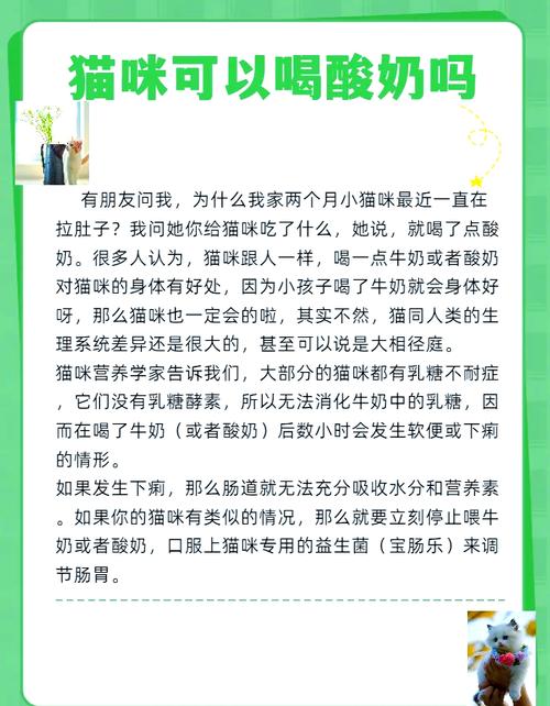 猫咪可以喝酸奶吗,猫咪可以喝酸奶吗?一天可以喝多少酸奶-第1张图片 猫咪可以喝酸奶吗,猫咪可以喝酸奶吗?一天可以喝多少酸奶-第1张图片