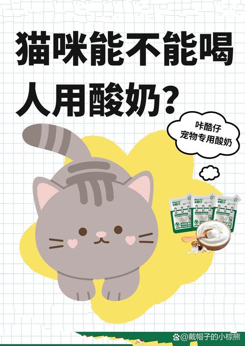 猫咪可以喝酸奶吗,猫咪可以喝酸奶吗?一天可以喝多少酸奶-第2张图片 猫咪可以喝酸奶吗,猫咪可以喝酸奶吗?一天可以喝多少酸奶-第2张图片