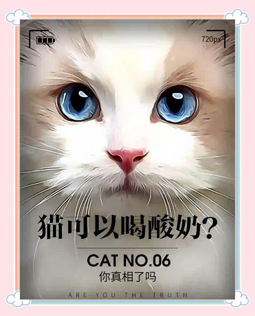 猫咪可以喝酸奶吗,猫咪可以喝酸奶吗?一天可以喝多少酸奶-第5张图片 猫咪可以喝酸奶吗,猫咪可以喝酸奶吗?一天可以喝多少酸奶-第5张图片