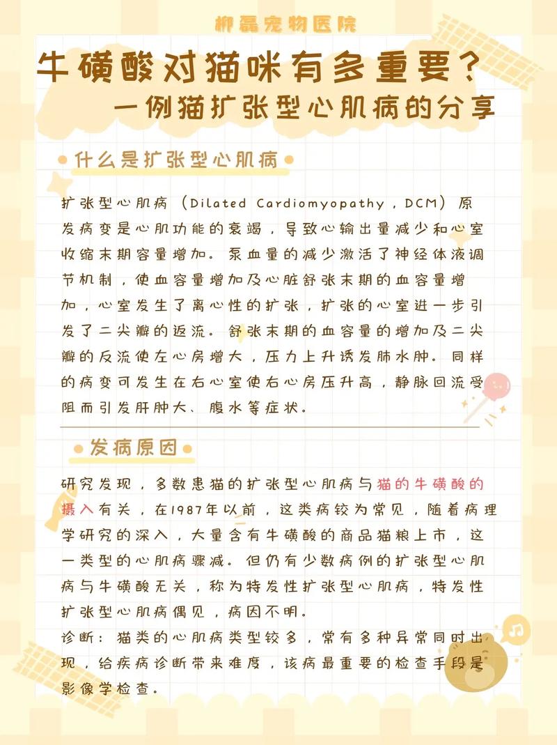 猫能不能吃狗粮/猫是否能吃狗粮-第1张图片 猫能不能吃狗粮/猫是否能吃狗粮-第1张图片