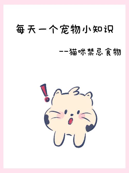猫能不能吃狗粮/猫是否能吃狗粮-第8张图片 猫能不能吃狗粮/猫是否能吃狗粮-第8张图片