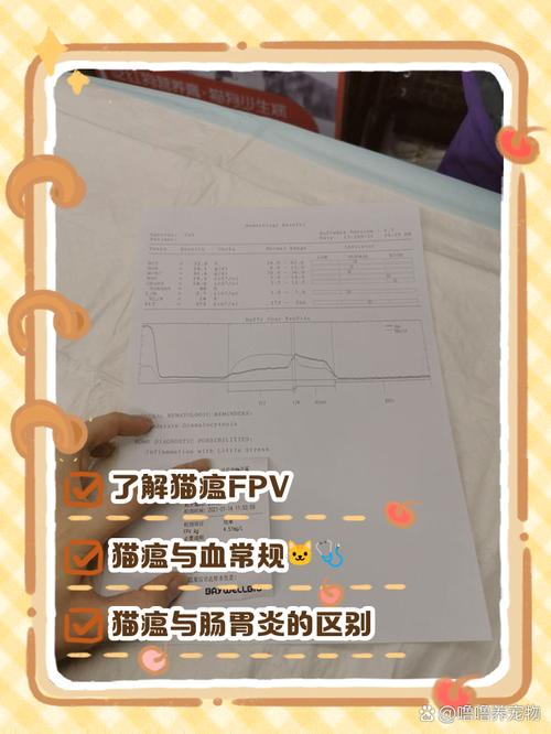 作为消费者“fpv是什么”你不能不知道-第1张图片 作为消费者“fpv是什么”你不能不知道-第1张图片