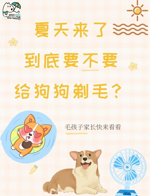 4个月约克夏可以剪毛吗/约克夏四个月小型的正常长几斤-第6张图片 4个月约克夏可以剪毛吗/约克夏四个月小型的正常长几斤-第6张图片
