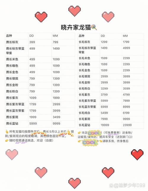 金色龙猫多少钱一只/金色龙猫多少钱一只图片-第5张图片 金色龙猫多少钱一只/金色龙猫多少钱一只图片-第5张图片