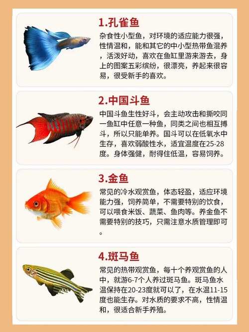 解析“小金鱼能活多久”你不知道的事-第6张图片 解析“小金鱼能活多久”你不知道的事-第6张图片