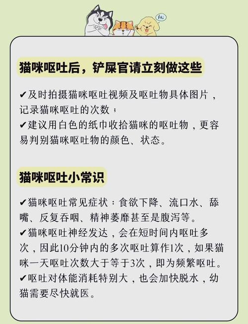猫咪吃多了会吐吗-猫咪吃多了会吐吗?-第3张图片 猫咪吃多了会吐吗-猫咪吃多了会吐吗?-第3张图片