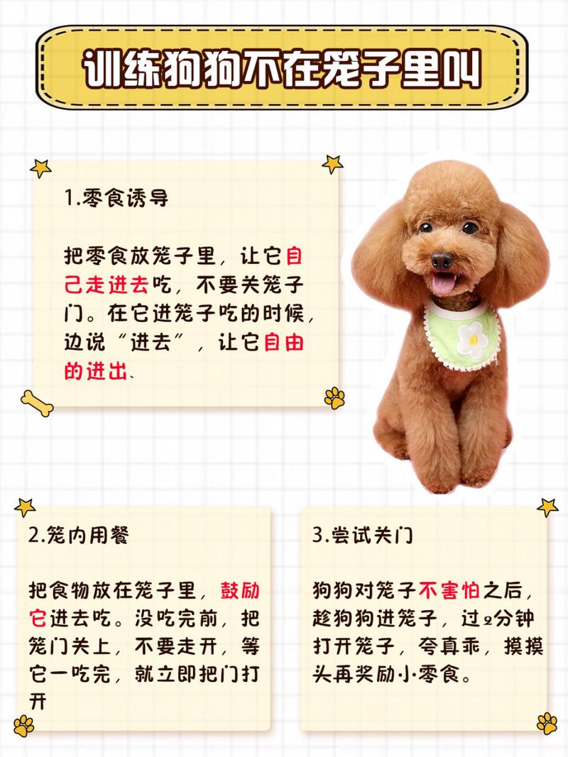 解析“怎样才能让狗狗不叫”你不知道的事-第1张图片 解析“怎样才能让狗狗不叫”你不知道的事-第1张图片