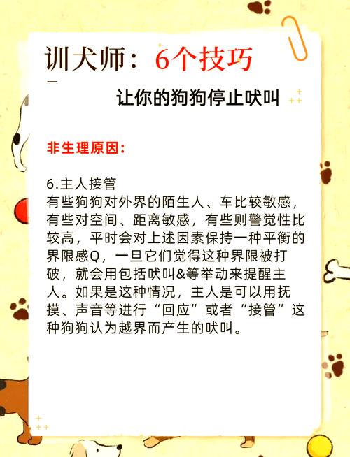 解析“怎样才能让狗狗不叫”你不知道的事-第2张图片 解析“怎样才能让狗狗不叫”你不知道的事-第2张图片