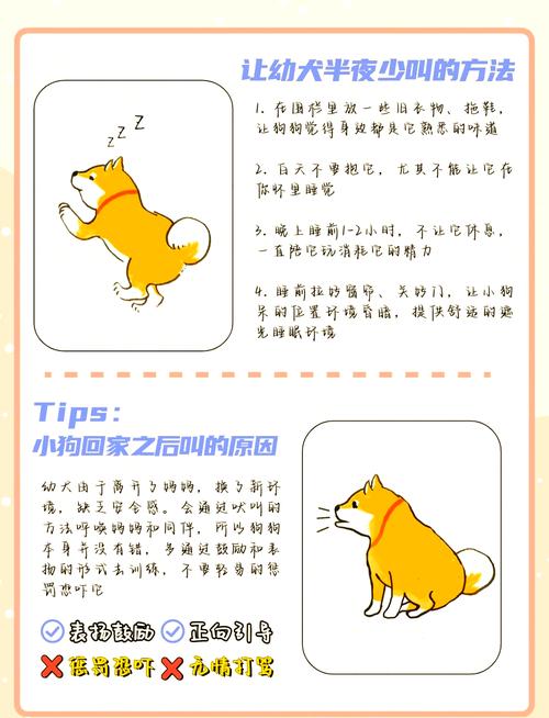 解析“怎样才能让狗狗不叫”你不知道的事-第3张图片 解析“怎样才能让狗狗不叫”你不知道的事-第3张图片