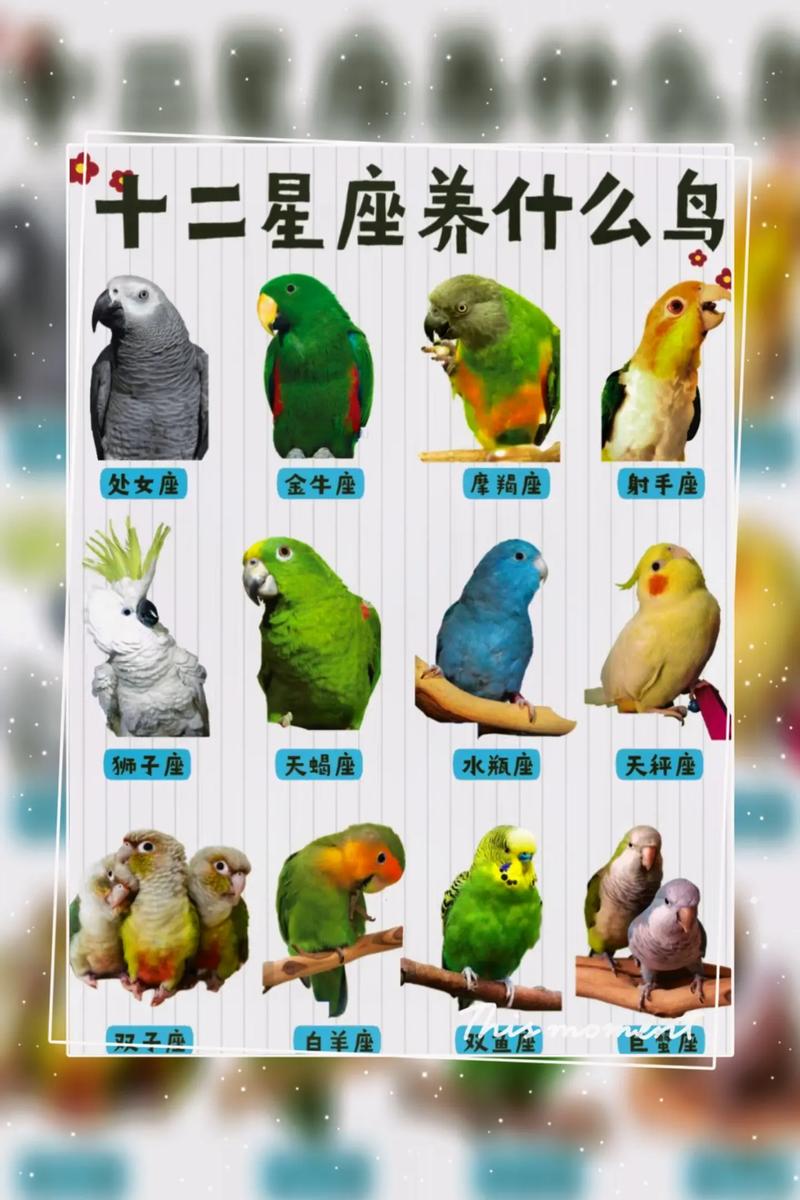 作为消费者“大绯胸不认主吗”你不能不知道-第8张图片 作为消费者“大绯胸不认主吗”你不能不知道-第8张图片