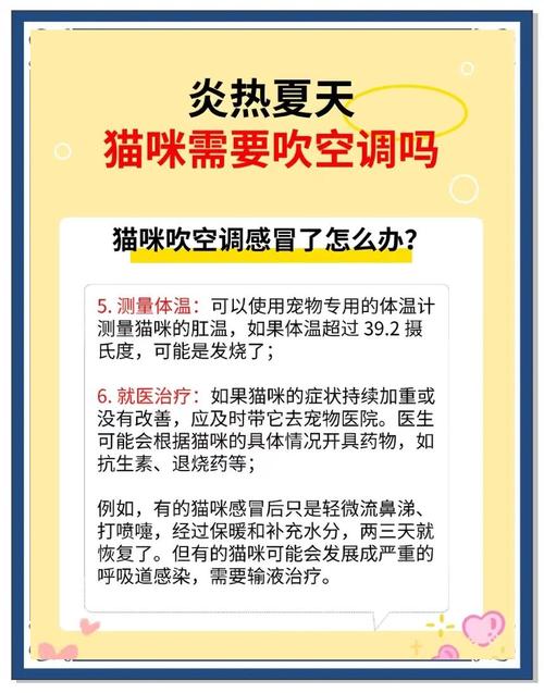 狗狗感冒能吹空调吗/感冒的狗可以吹暖风机吗-第5张图片 狗狗感冒能吹空调吗/感冒的狗可以吹暖风机吗-第5张图片