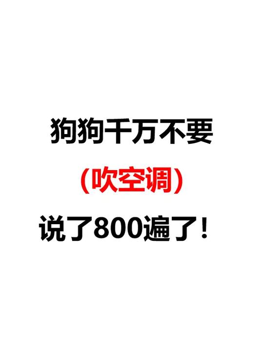 狗狗感冒能吹空调吗/感冒的狗可以吹暖风机吗-第7张图片 狗狗感冒能吹空调吗/感冒的狗可以吹暖风机吗-第7张图片