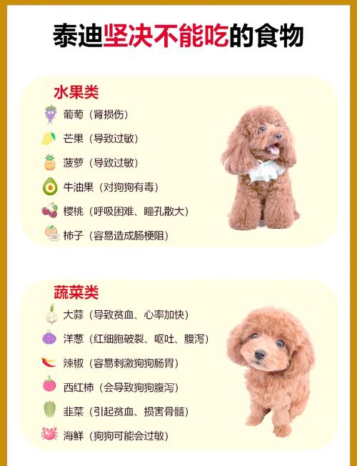 狗狗感冒能吹空调吗/感冒的狗可以吹暖风机吗-第9张图片 狗狗感冒能吹空调吗/感冒的狗可以吹暖风机吗-第9张图片